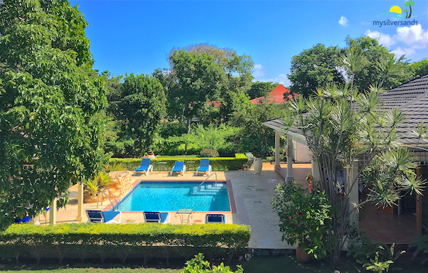 aerial view of the pool at buena vista