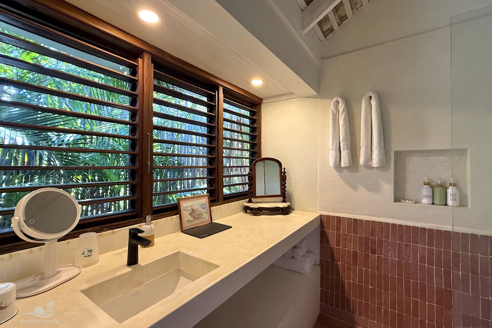 bathroom 2 basin and windows