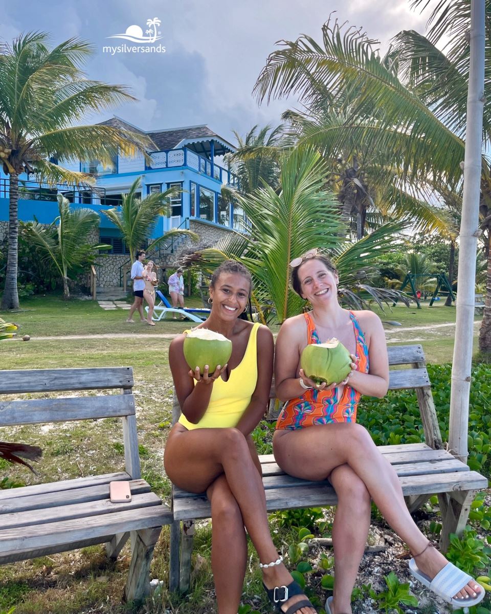 seafront with coconuts