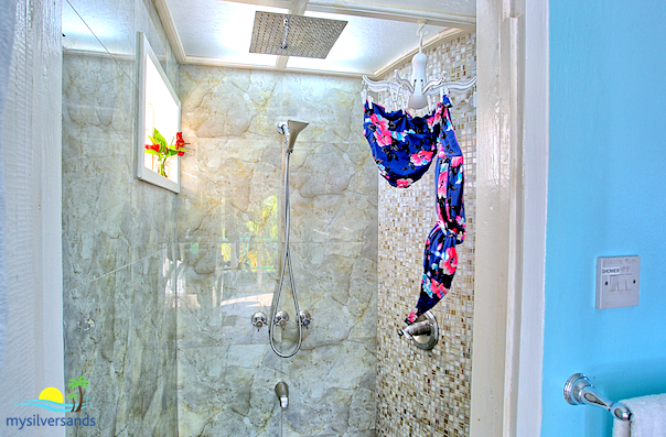 shower in bedroom 5