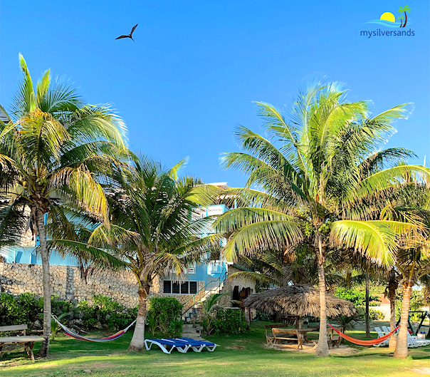 seafront at endless summer with hammocks, lounge chairs, thatched cabana