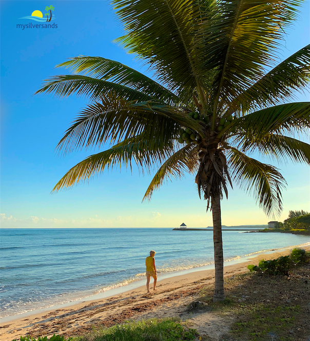 lynn on beachfront at sunrise