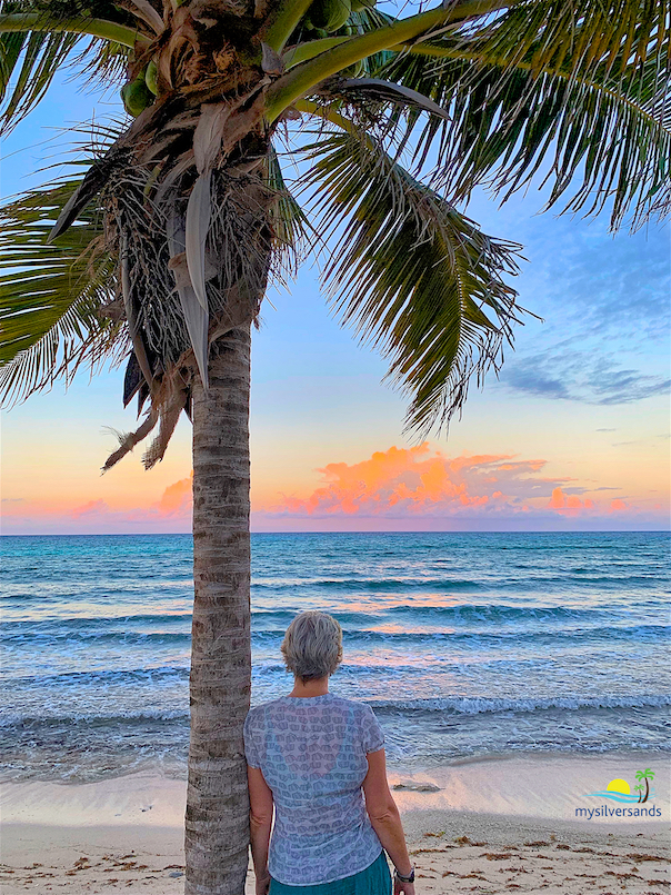 lynn on the seafront at sunset