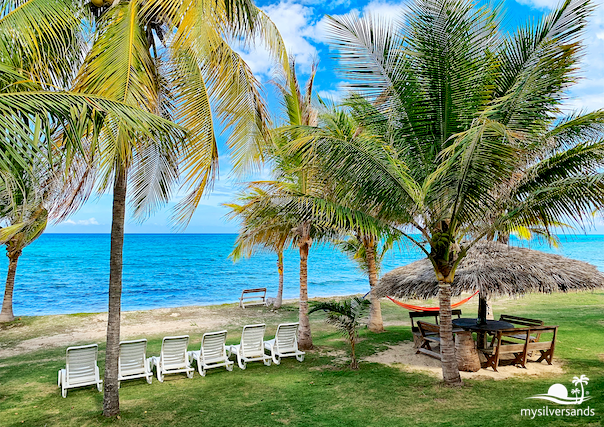 lounge chairs and cabana on the sea front