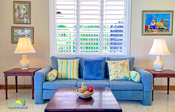 blue sofa in the living room