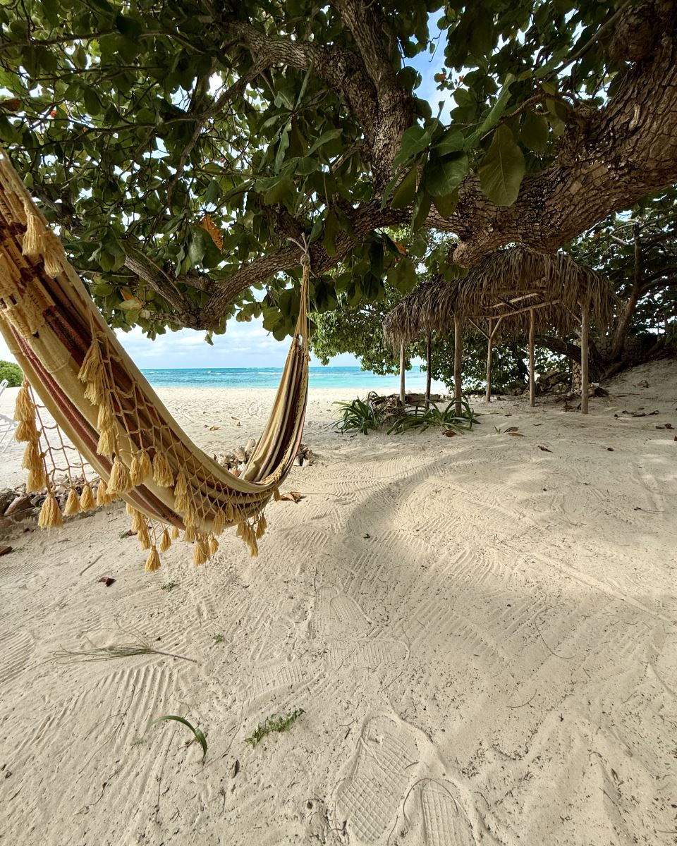 hammock under almond tree on beach