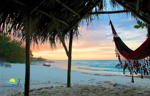 hammock in the massage hut