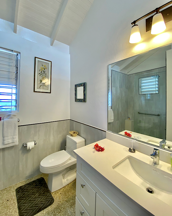 Santa Margherita Villa Bathroom2 basin toilet