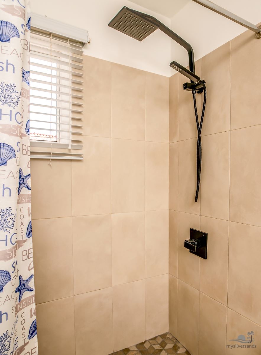 bathroom 1 shower