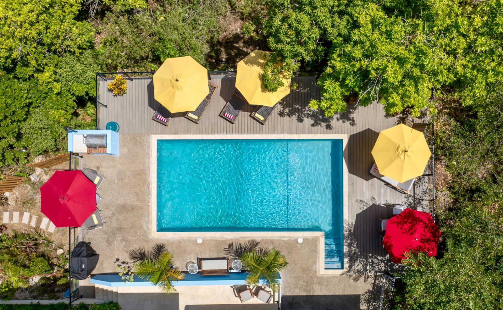 overhead view of seascape pool with surrounding greenery