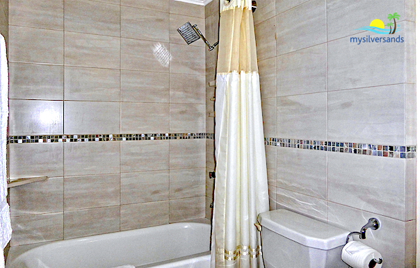 bathroom 1 - shower over bathtub