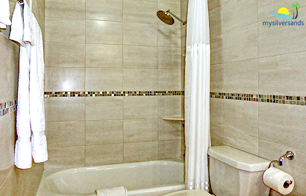 bathroom 2 - shower over tub