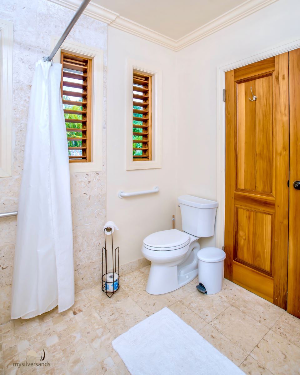 accessible toilet