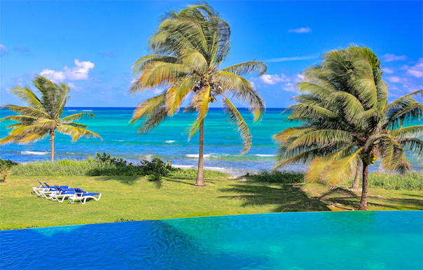 view of coconut trees