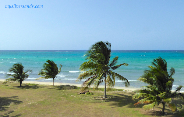 sea view from tallawah villa in silver sands jamaica