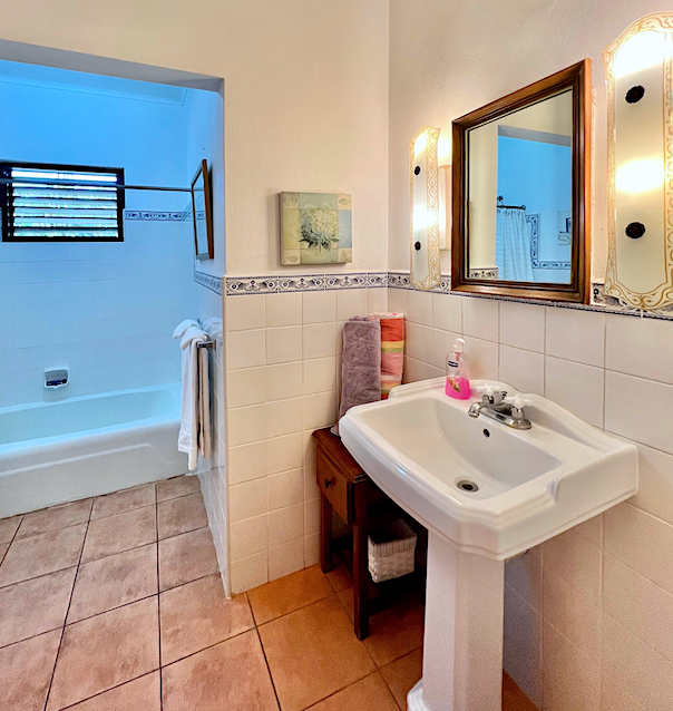 bathroom 2 with tub and shower overhead