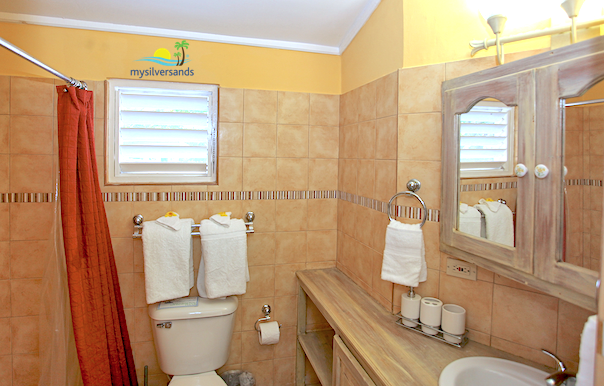 bathroom 4