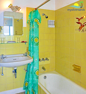 bath 1 - shower over bathtub