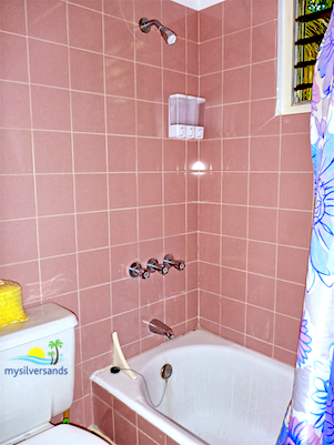 bathroom 2 with shower over bathtub