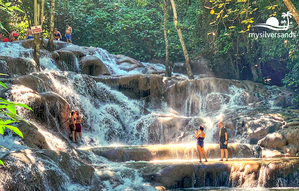 majestic dunn's river falls