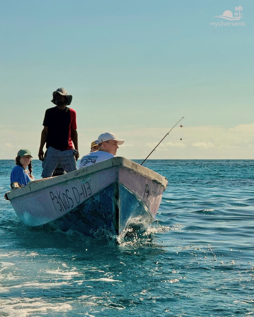 boat returning to shore