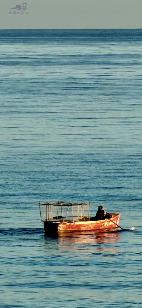 This isn’t a tour. It’s just what you see from your verandah.