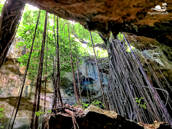 up through the collapsed roof