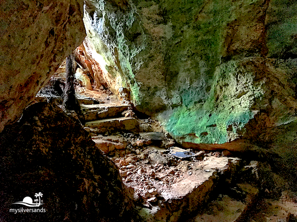 entrance steps into the cave