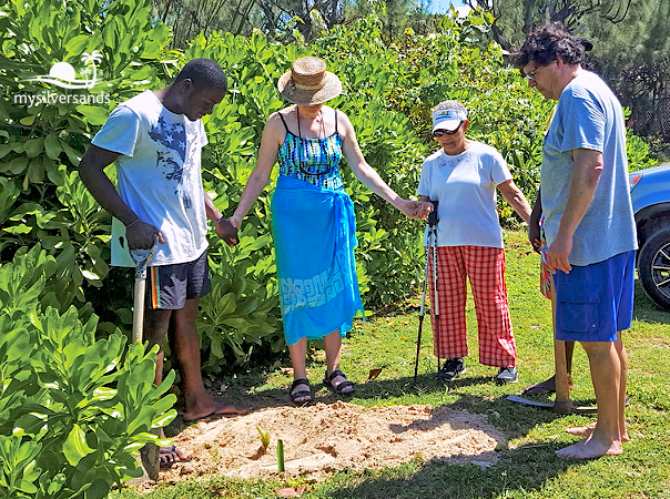gladwell planting coconut tree