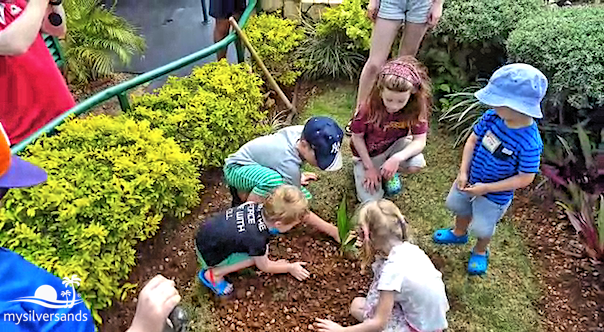 children around planted tree