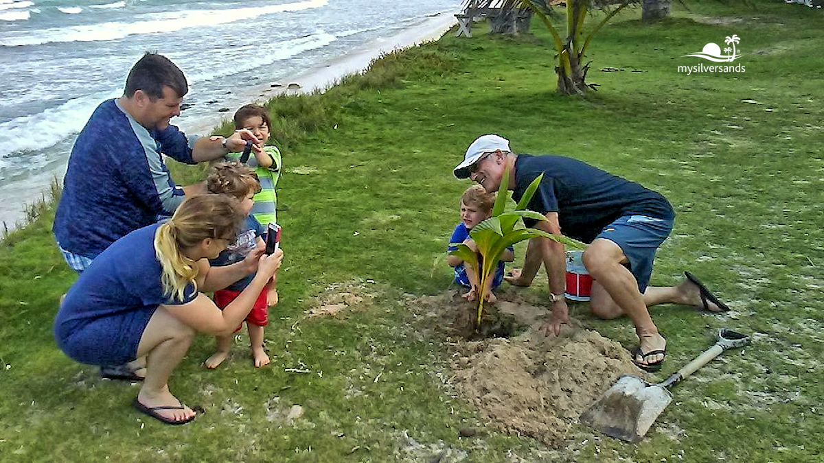 photo op with coconut tree at endless summer