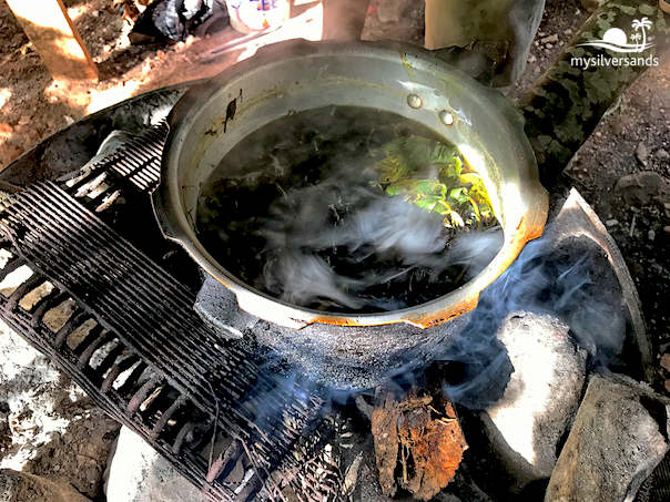 boiling herb tea