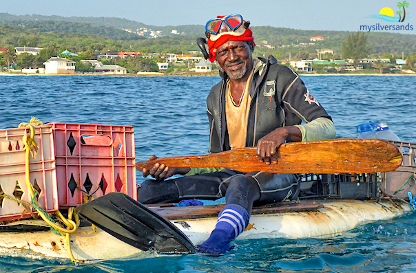 shine on his board