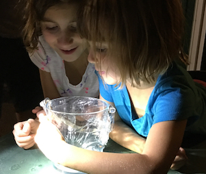 scout and georgia looking at tree frog in a jar