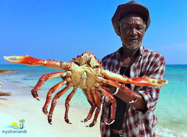 big john with queen crab