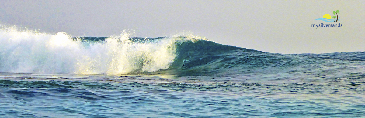 waves crashing on the reef