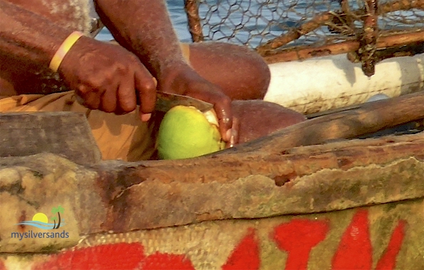 zion cutting citrus fruits in halves