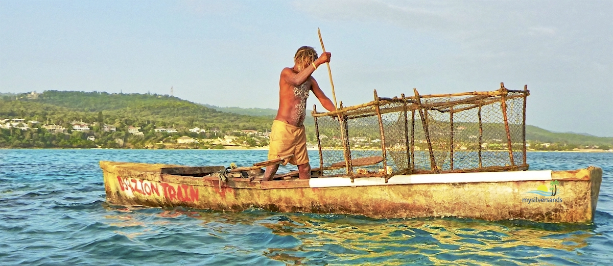 using a long stick to get the fish out of the trap