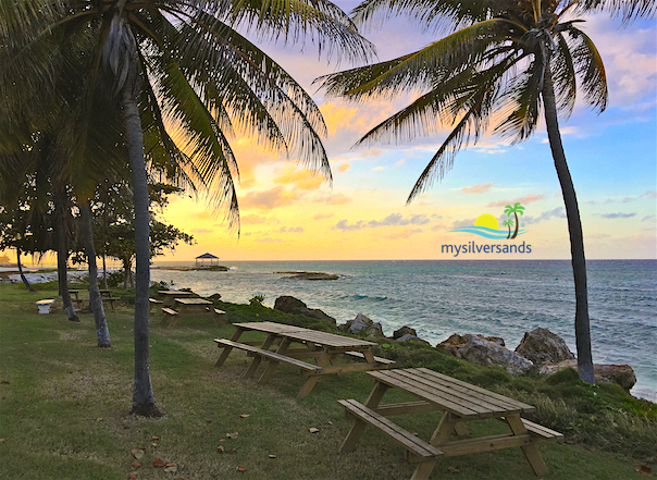 picnic benches at sunset