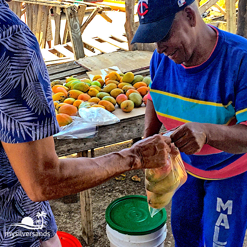 buying mangoes