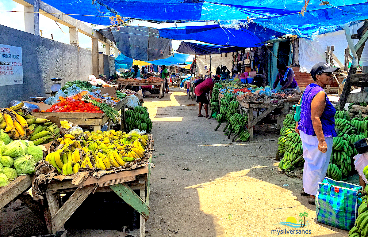 stalls under blue plastic 