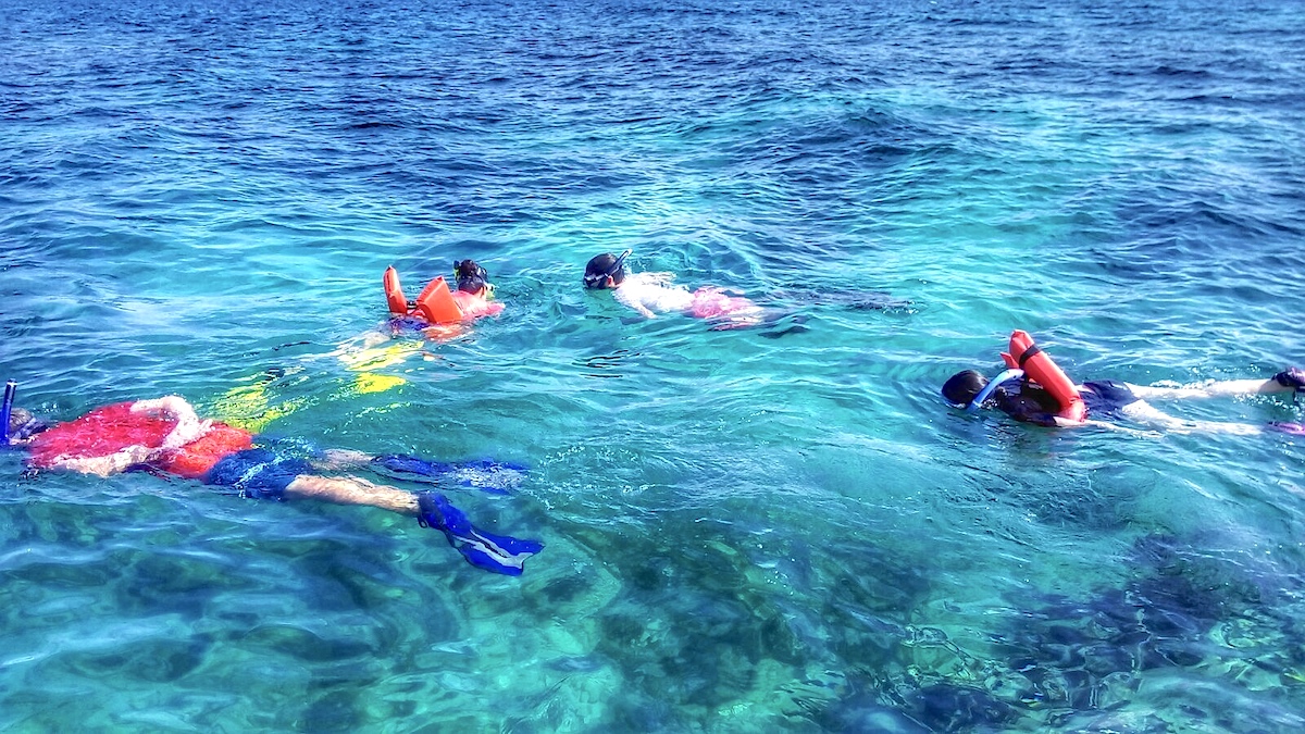 group snorkeling
