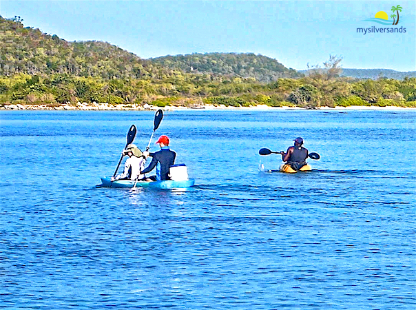 2 kayaks