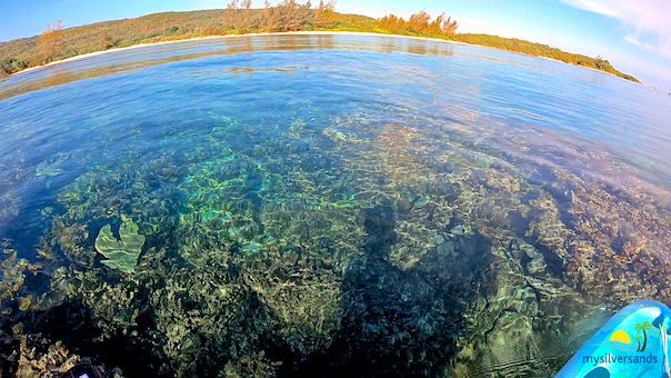 very clear calm sea