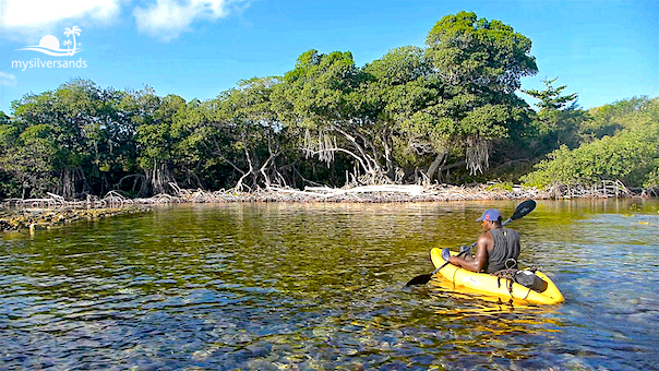 dj paddling into shallow small lagoon