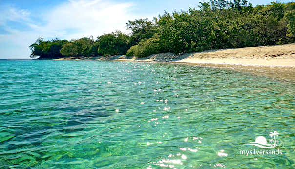 harmony cove beach