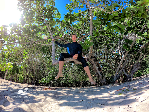 randy, sitting in a tree on the beach