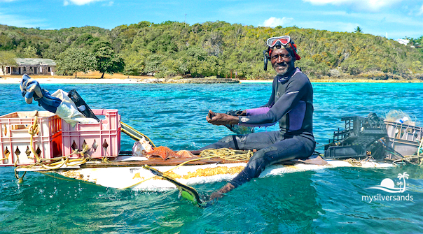 shine on his windsurfer converted to a conch fishing vessel