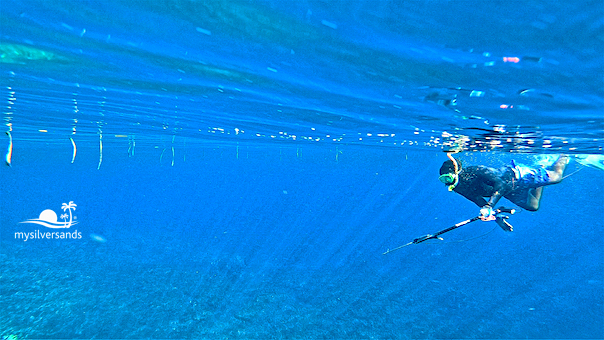 bryan underwater