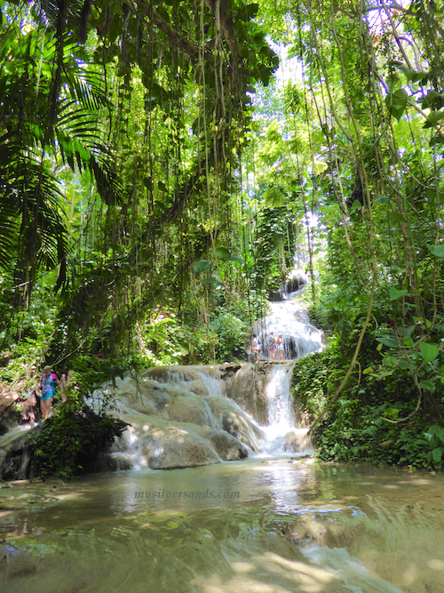 Turtle River Falls And Gardens In Ocho Rios Jamaica